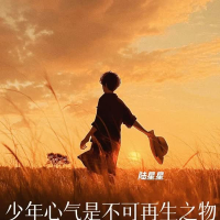 少年心气是不可再生之物 (Single)