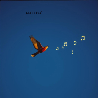 let it fly (Single)