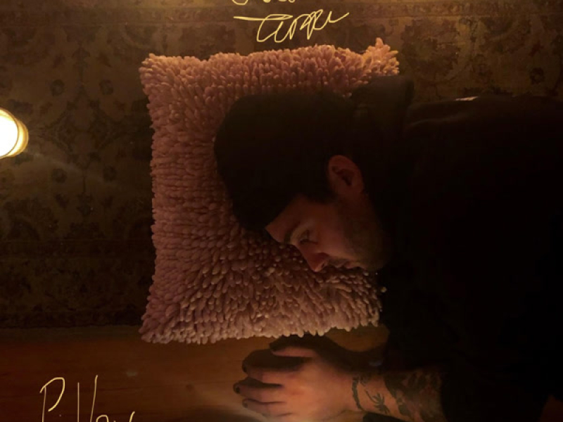 Pillow (Single)