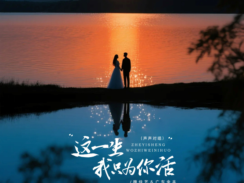 这一生我只为你活 (声声对唱) (Single)
