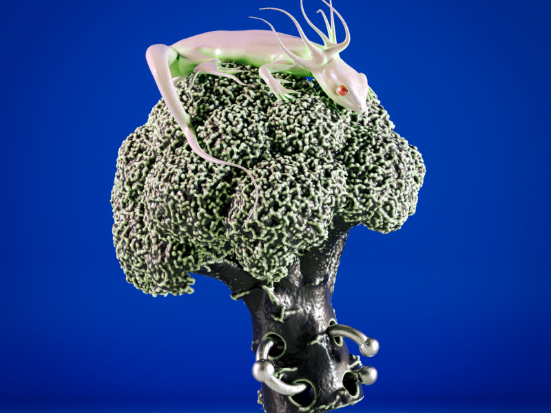 Back To The Groove (Justin Jay x Janis Zielinski remix) (EP)