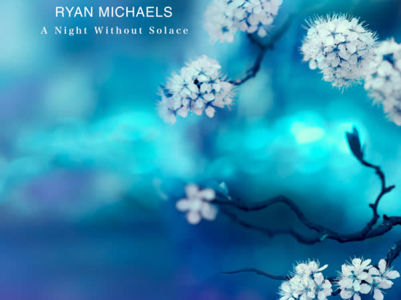 A Night Without Solace (Single)