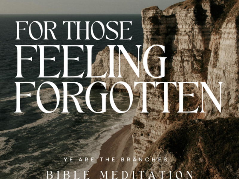 For those feeling forgotten (Bible Meditation)