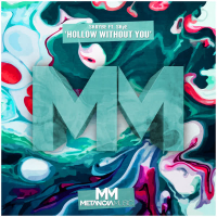 Hollow Without You (Single)
