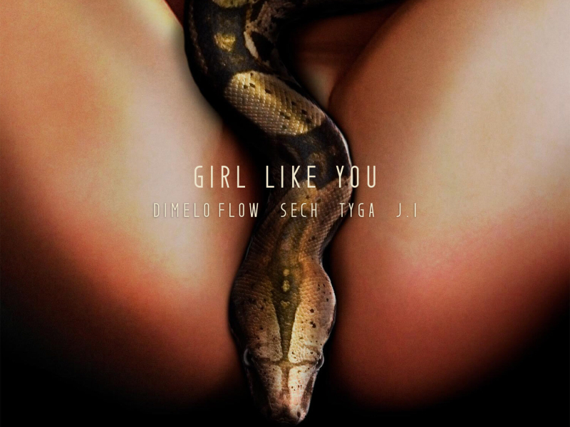 Girl Like You (Single)