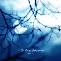 Locked in the shade of the moon (Single)