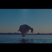 unfold (MV) (Single)