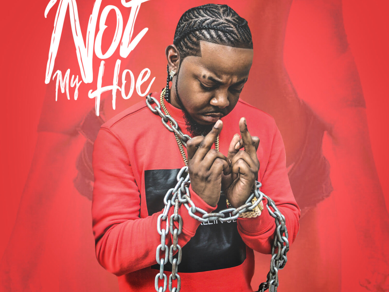 Not My Hoe (Single)