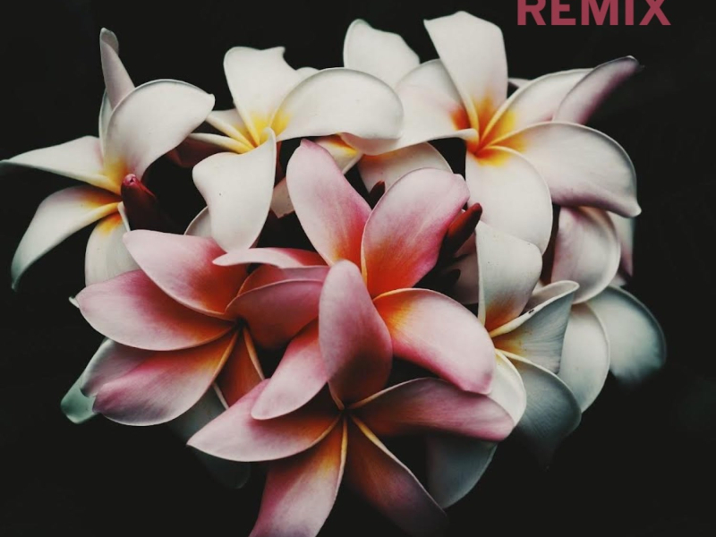 Closer 2 U (feat. Deo Cane & GMBEATZ) [3nglmn Remix] (Single)