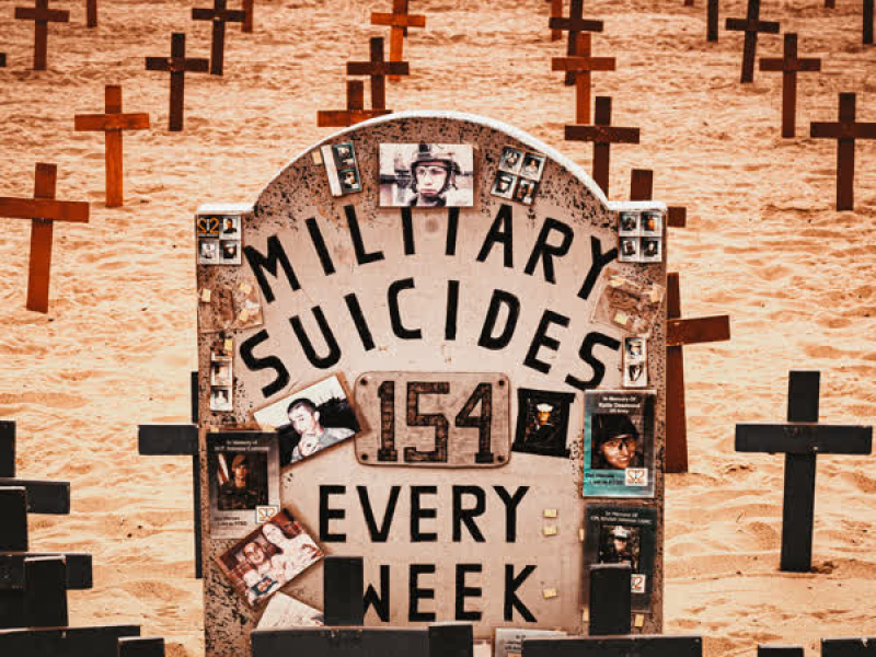Military Suicides (Single)