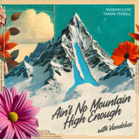 Ain't No Mountain High Enough (with Vandelux) (Single)