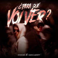 Para Qué Volver (Single)