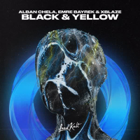 Black & Yellow (Single)