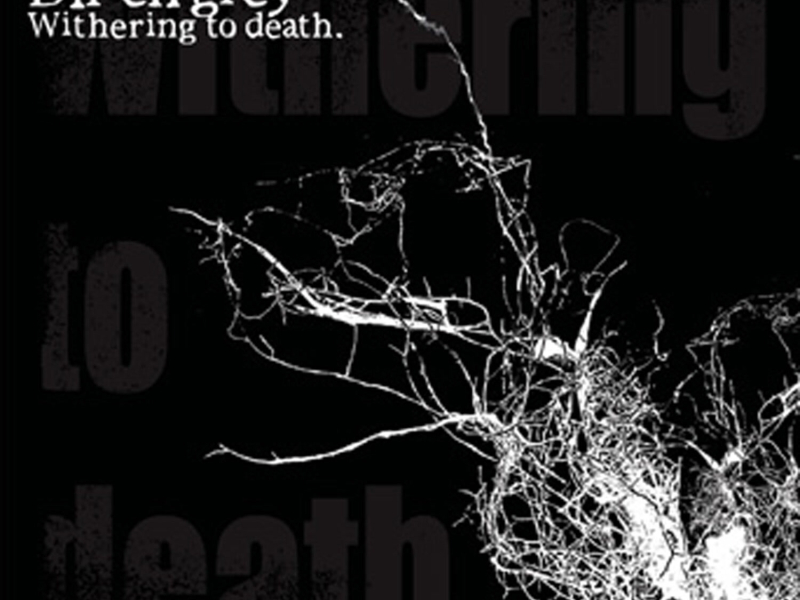 Withering To Death
