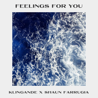 Feelings for You (Single)