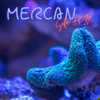 MERCAN (Single)