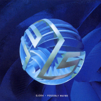 Possibly Maybe (Single)