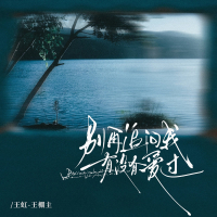 别再追问我有没有爱过 (Single)
