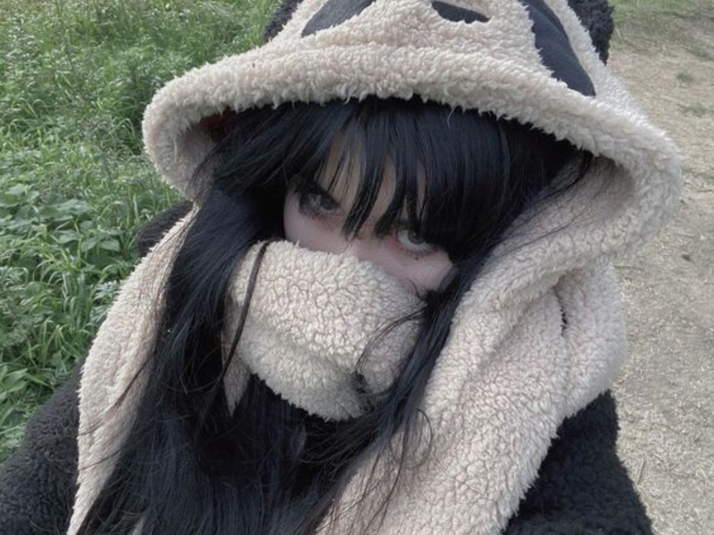 Better Than Revenge (Sped Up) (Single)