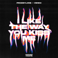 i like the way you kiss me (Hardstyle) (Single)