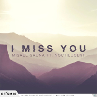 I Miss You (feat. Noctilucent) (Single)