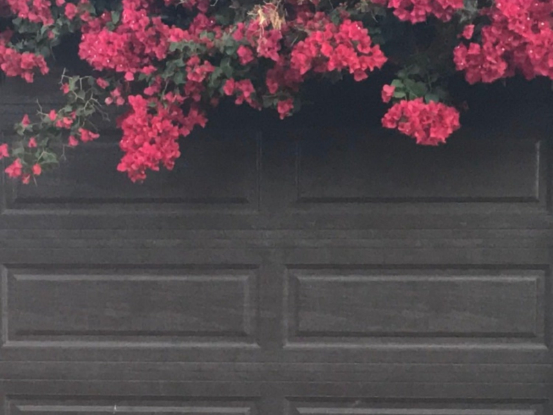 Without Reason (Single)