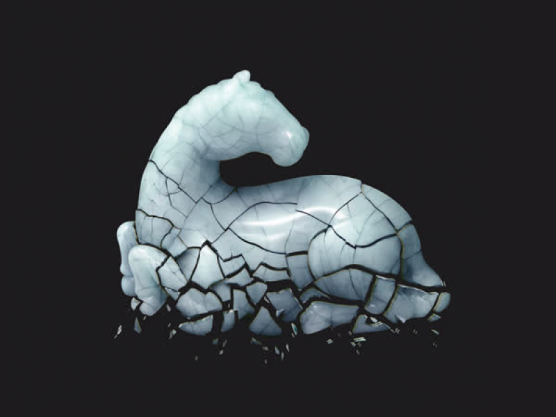 We Are an Image From the Future