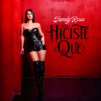 Si Lo Hiciste ¿Que? (Single)