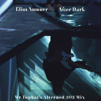 After Dark (Mr. Tophat's Alterned 303 Mix) (Single)