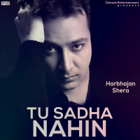 Tu Sadha Nahin - Single