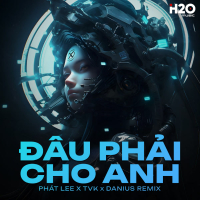 Đâu Phải Cho Anh (Danius Remix) (Single)