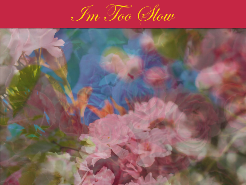 I'm Too Slow (Single)