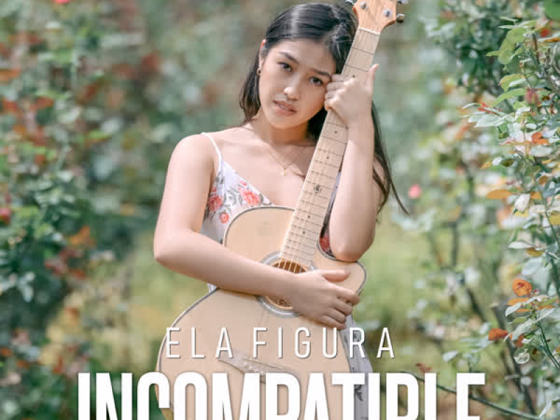 Incompatible (Single)