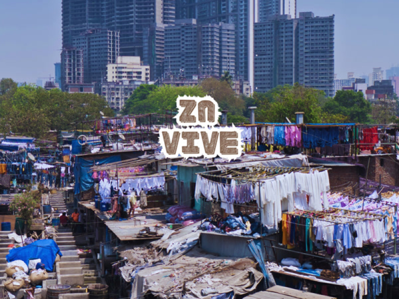ZN Vive (Single)