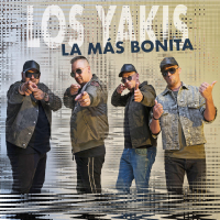 La Más Bonita (Single)