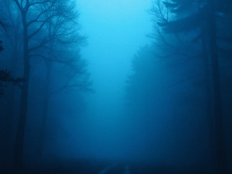 Enter The Void (Single)