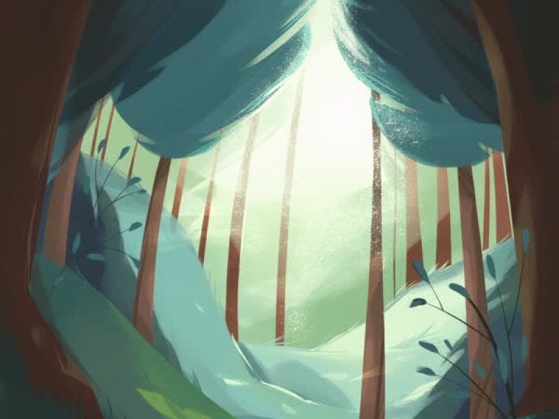 forest illuminations (EP)