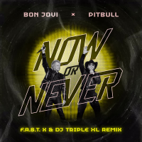 Now or Never (F.A.S.T x & DJ Triple XL Remix) (Single)