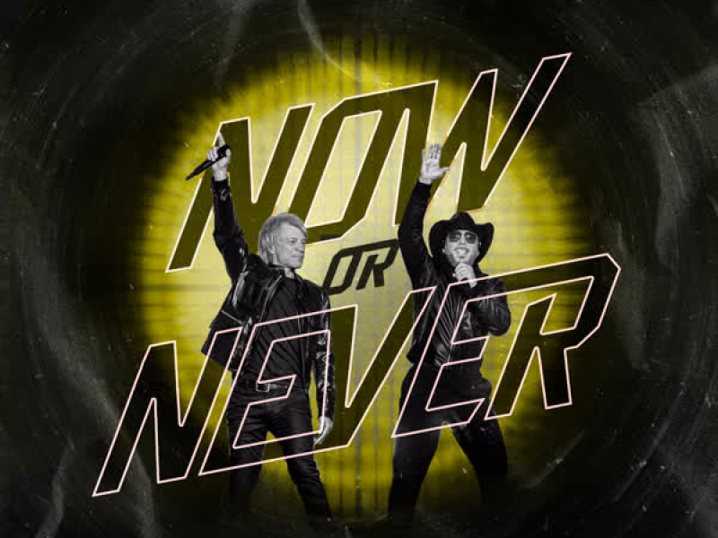 Now or Never (F.A.S.T x & DJ Triple XL Remix) (Single)