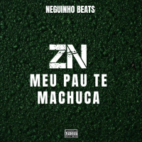 ZN meu pau te machuca (Single)