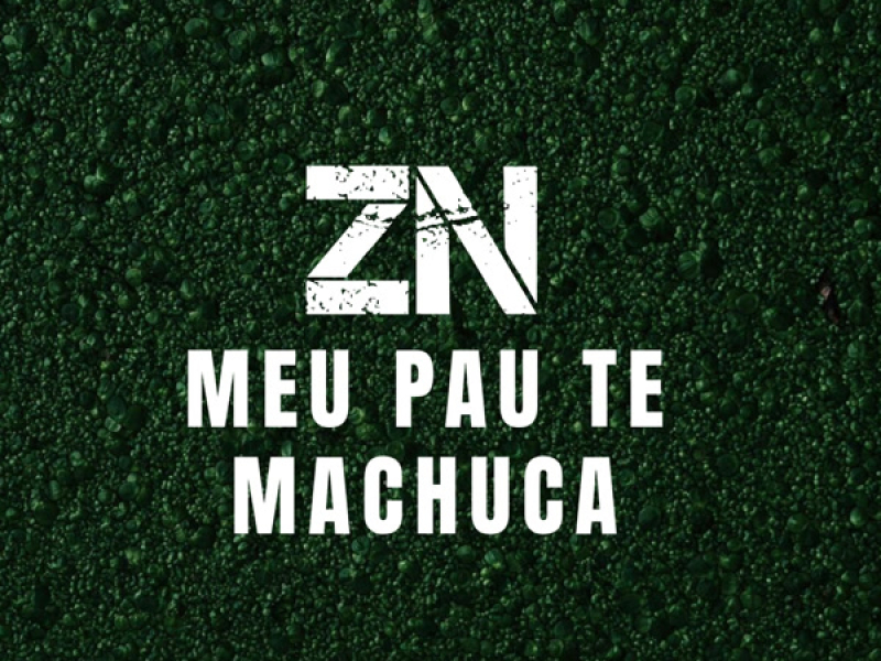 ZN meu pau te machuca (Single)