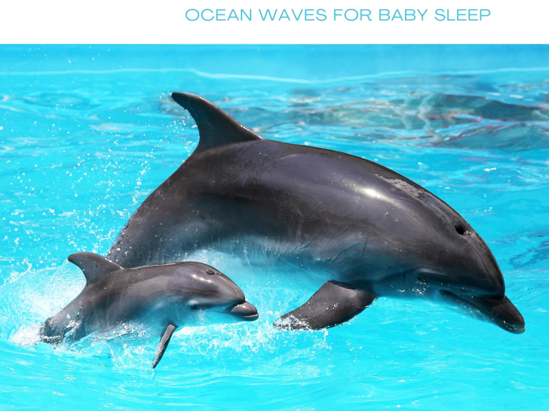 Calming Piano Music & Ocean Waves for Baby Sleep (Nature Sounds Version) (Single)