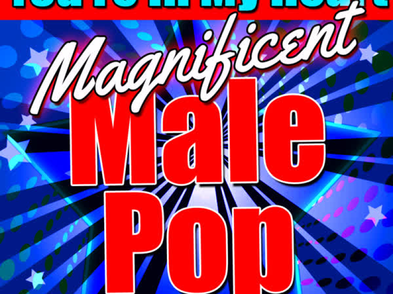 You're in My Heart: Magnificent Male Pop