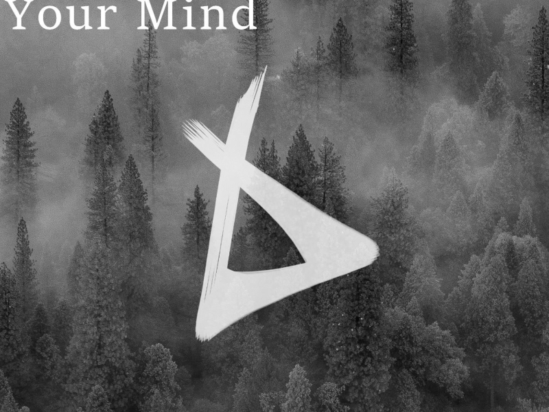 Your Mind (feat. Fenris) (Single)