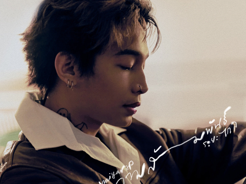 ความสัมพันธ์ระยะไกล (Single)