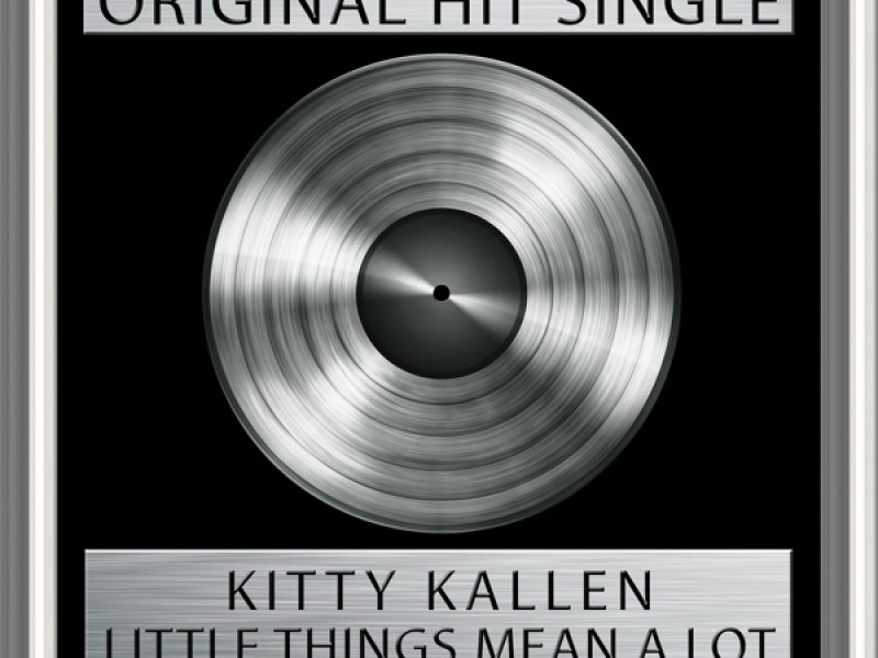 Little Things Mean A Lot (Single)