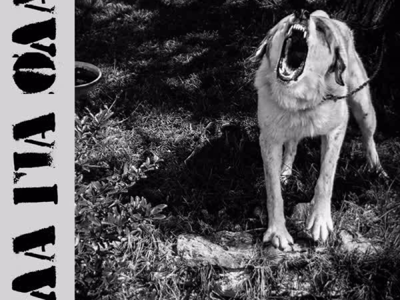 Ola Gia Ola (Single)