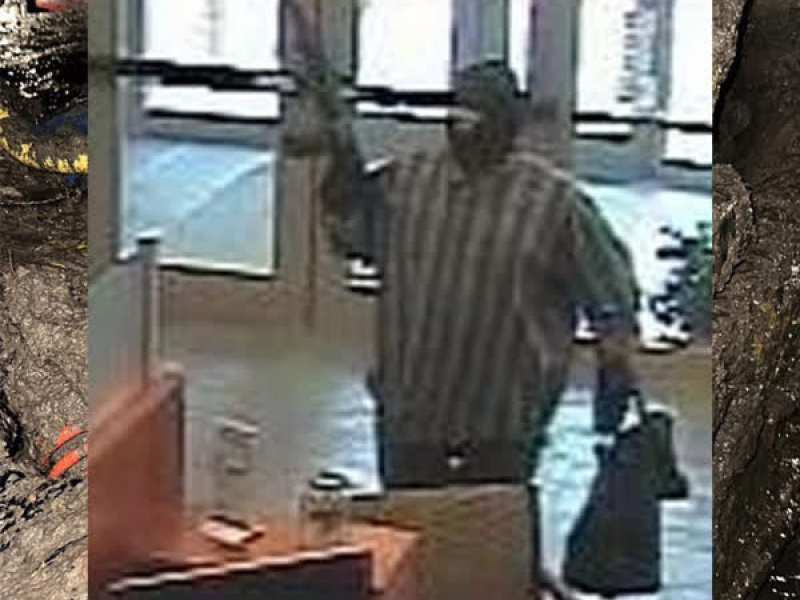 Police Raid (Single)