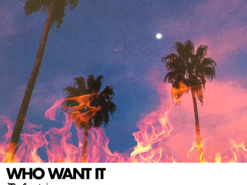 Who Want It (Single)