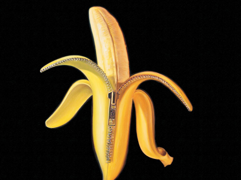 Welcome To The Monkey House